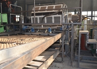 Egg Tray Production 3000pcs Paper Tray wine trays Forming Machine