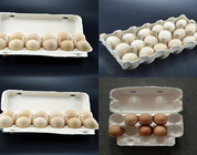 Eco Friendly Fruit Tray / Egg Tray Production Line 350 -3000pcs/h Capacity