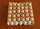 Waste Paper Egg Tray Machine , Egg Tray Manufacturing Unit 1300pcs/h Capacity