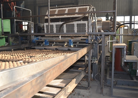 Paper Egg Tray Production Line Computer Controlled With High Efficiency