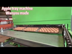 Fruit Tray / Egg Tray / Egg Carton Making Machine 20KW-150KW Easy Operation