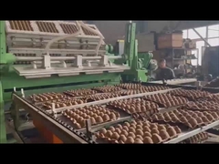 3000 Pieces Automatic Pulp Tray Forming Machine Egg Tray Maker
