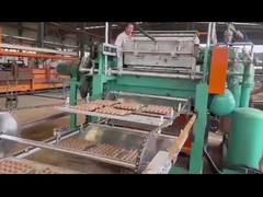 paper egg tray making machine pulp molding machine for small business
