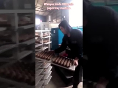 Reciprocating Type Paper Egg Tray Making Machine , Egg Tray Production Line