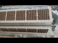 egg tray production line