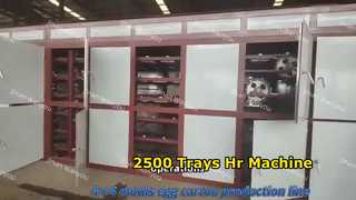 2500pcs/hr Egg Tray Machine Low Investment Startup