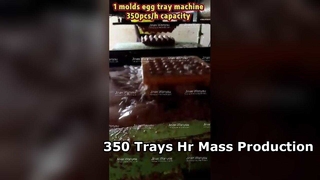 Egg Tray Machine 3000pcs hr Mass Production