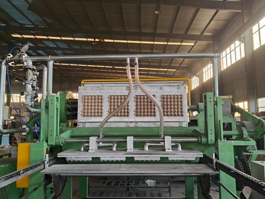 Corrugated Carton Paper Egg Tray Machine CE Approval 300kg/H Paper Consumption