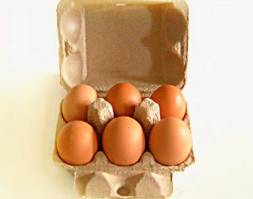 Popular customized 6 holes egg carton egg tray production line egg box machine