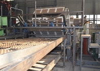 Professional Paper Pulp Molding Equipment Rotary Forming Paper Egg Tray Production