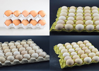 Rotary Type Fruit Tray Egg Carton Making Machine Large Capacity Long Life