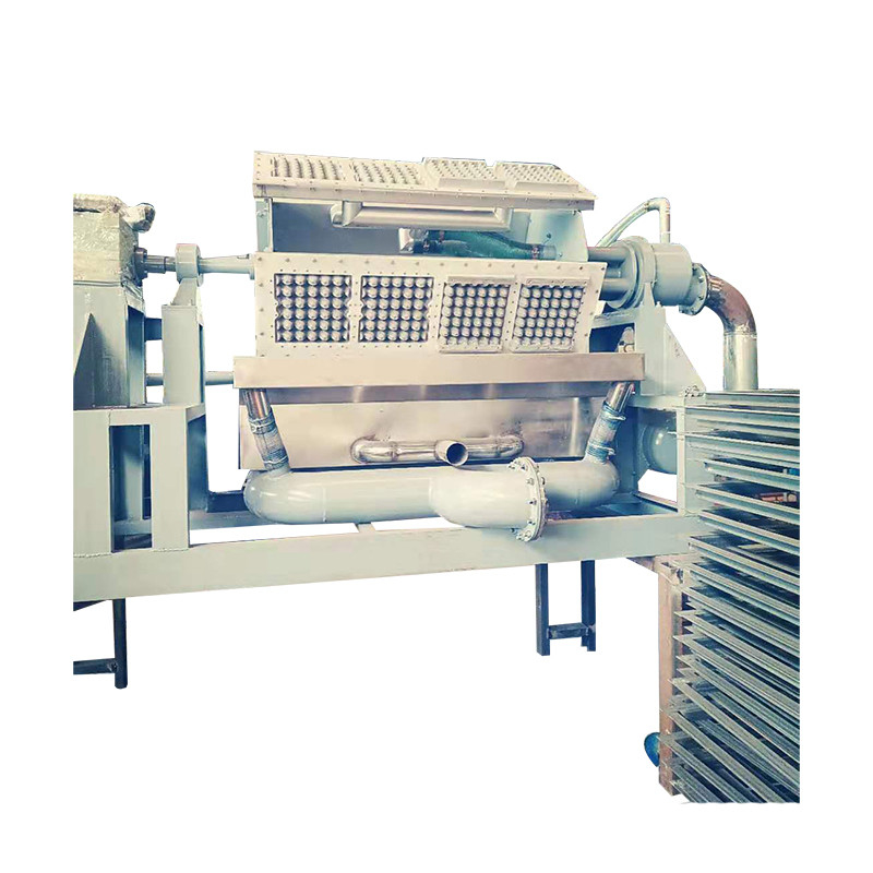 Eco Friendly Egg Carton Making Machine Egg Tray Paper Pulp Molding Machine for Sustainable Packaging Solutions