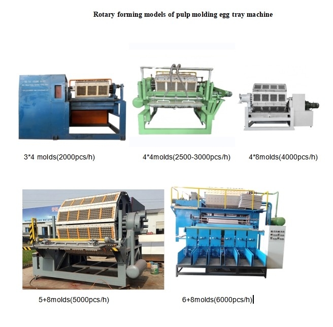 30-150KW Different Capacity Paper Egg Tray Production Line Egg Tray Machine with Advanced Technology and Low Energy Consumption