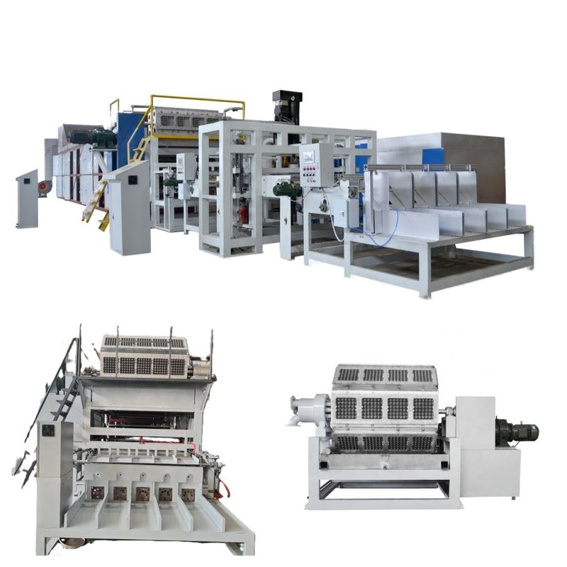 2500-6000pcs/h Rotary Egg Tray Production Line Egg Tray Making Machine Featuring Advanced Pulp Recycling and Automatic Drying Technology for Eco Friendly Production