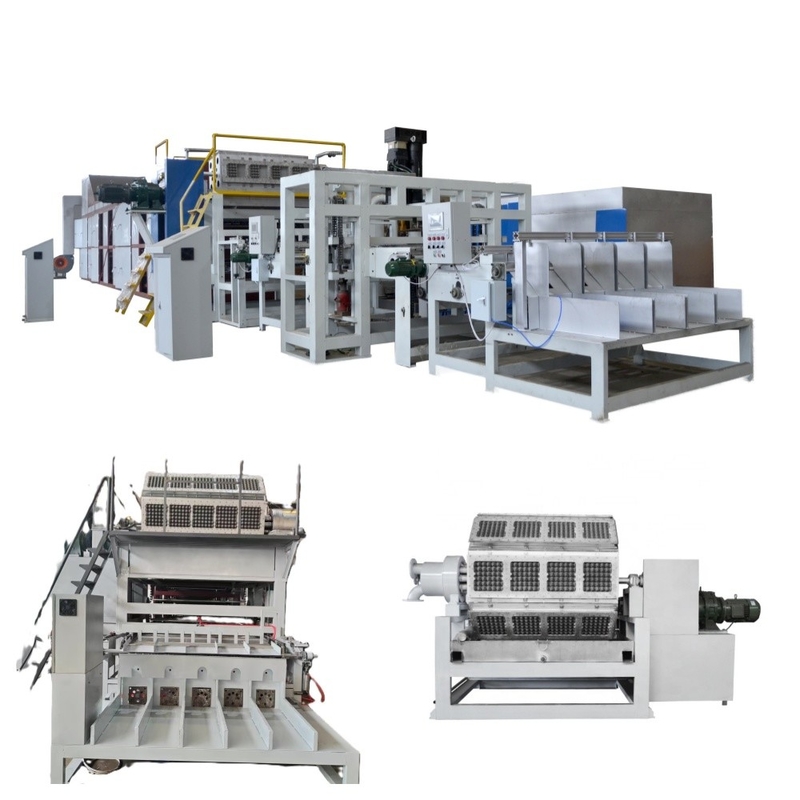 New Wholesale WANYOU Automatic Recycled Paper Egg Tray Machine Pulp Molding Machine PLC Control Touch Screen Panel Bearing Motor Gear