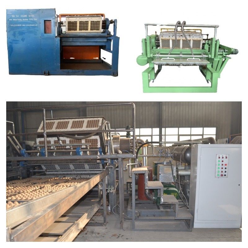 2000pcs/h Rotary Automatic Egg Tray Production Line Using Recycled Paper Pulp to Create Various Types of Egg Cartons and Trays PLC Controlled