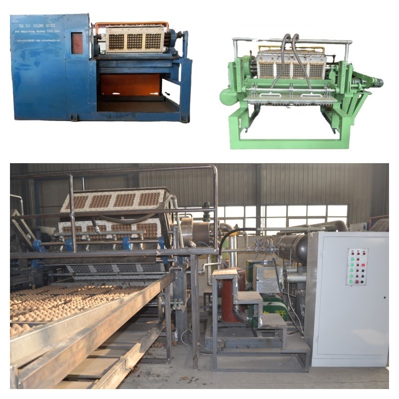 30-150KW Different Capacity Paper Egg Tray Production Line Egg Tray Machine with Advanced Technology and Low Energy Consumption