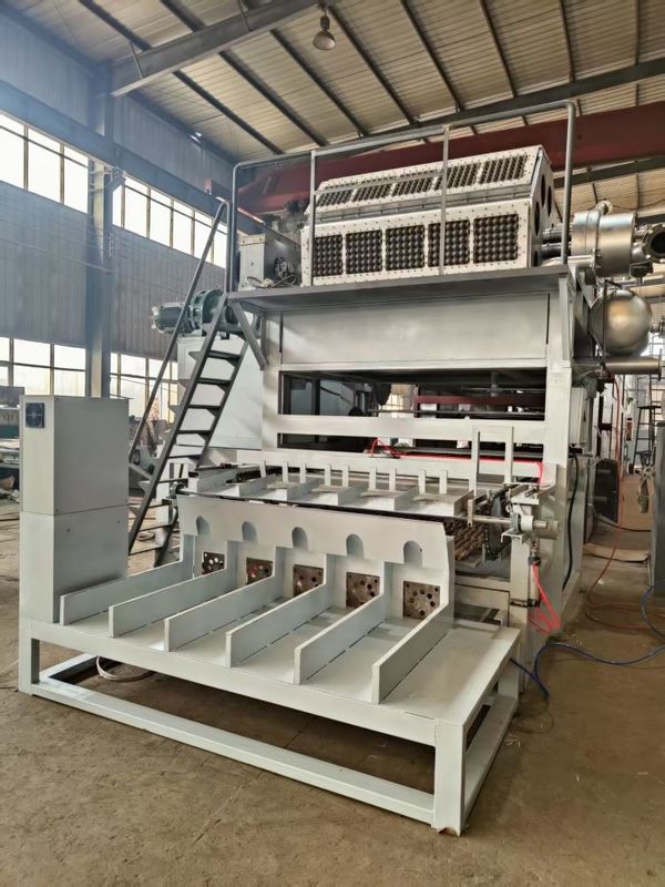 Fully Automatic Paper Pulp Moulding Machine Paper Egg Tray Machine Production Line PLC Controlled Large Capacity 5*8 Molds Rotary Forming