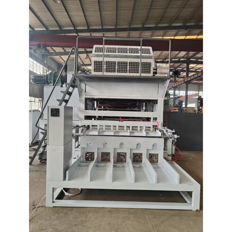 1 Year Warranty Egg Use And Paper Pulp Material Automatic Egg Tray Machine Production Line Pulp Molding Machine