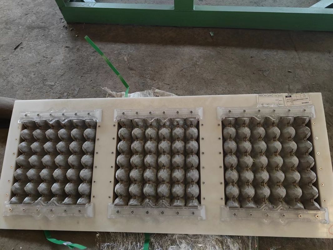 Customized 30 Holes Pulp Molding Egg Tray Machine With Aluminum Mould For Small Capacity Food Beverage