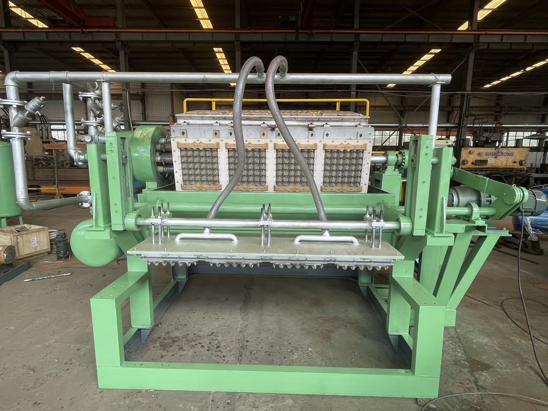 Waste Paper Egg Tray Manufacturing Machine / Pulp Molding Machine Customized Color