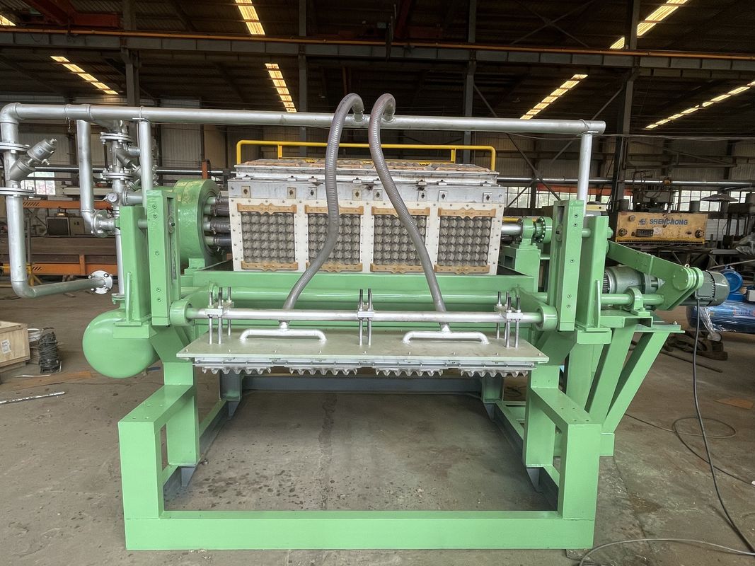 Green Color Paper Egg Carton Making Machine With Low Energy Consumption