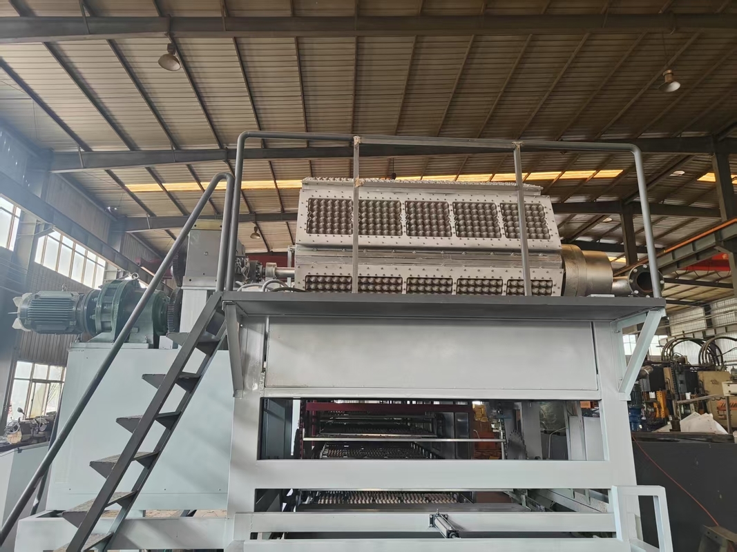 4000-5000pcs Per Hour Capacity Egg Tray Pulp Molding Machine 12-20 Stroke/minute Forming Speed for Egg Tray Machine