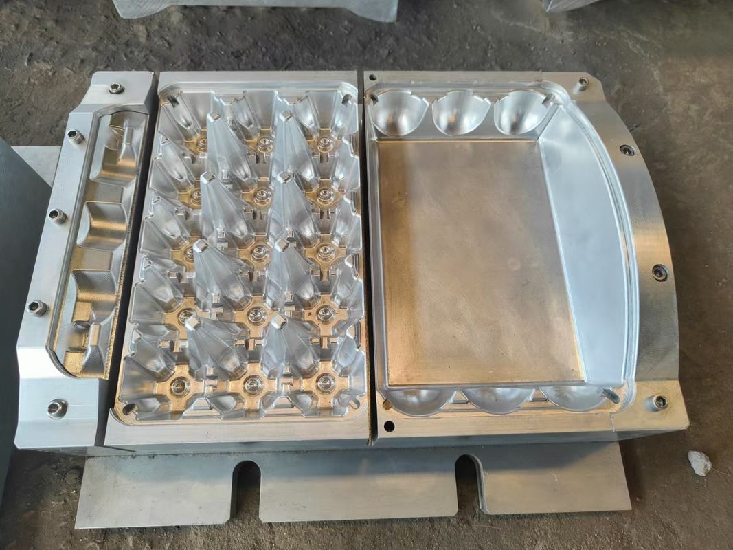 Fully Automatic Egg Tray Machine Production Line Manufacturing System Combining Energy Saving Technology and Durable Construction for Production