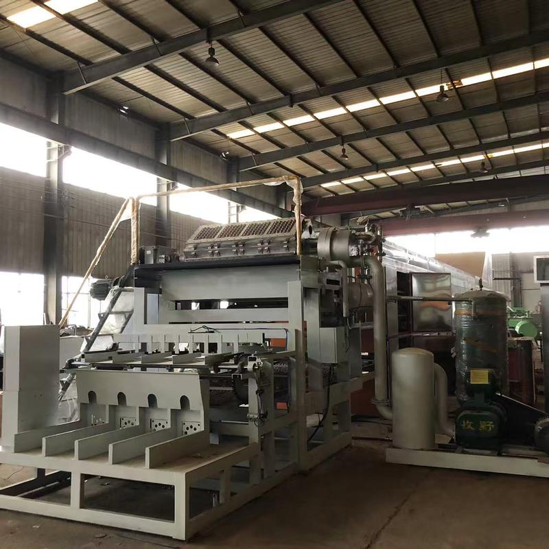 Automatic Waste Paper Recycled Paper Pulp Egg Tray Production Line By Wanyou 2500-4000pcs/h Low Energy Consumption