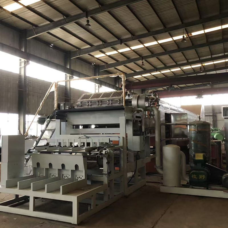 PLC Controlled Rotary Paper Recycling Egg Tray Making Machine Pulp Molding Apple Tray Line Aluminum Molds Packaging Forming Machinery