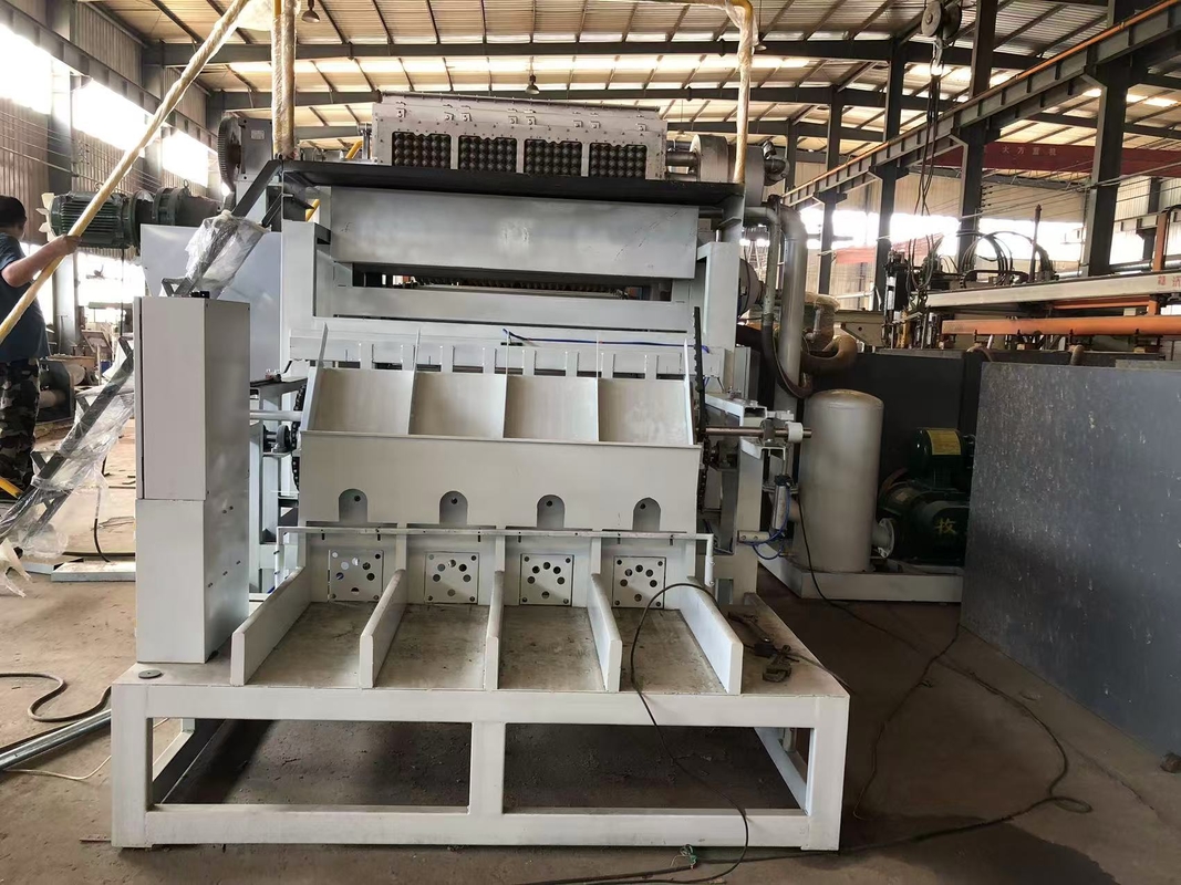 PLC Controlled Rotary Paper Recycling Egg Tray Making Machine Pulp Molding Apple Tray Line Aluminum Molds Packaging Forming Machinery