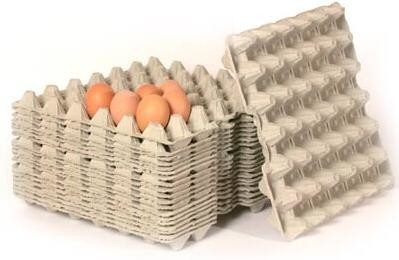 1 Mold Recycled Pulp Molding Machine For Egg Trays / Apple Trays / Shoe Trays