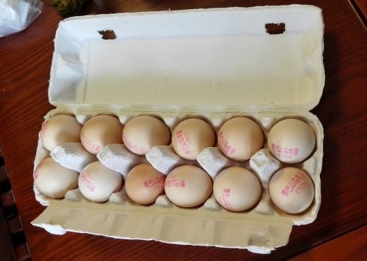 1 Mold Recycled Pulp Molding Machine For Egg Trays / Apple Trays / Shoe Trays