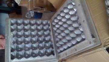 Rotary Type Paper Tray Production Line for Egg Cartons / Apple Trays 4000pcs/h