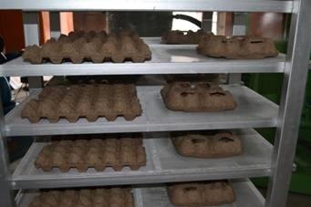Recycled Paper Pulp Molding Machine For Egg Tray / Fruit Tray / Bottle Tray Making