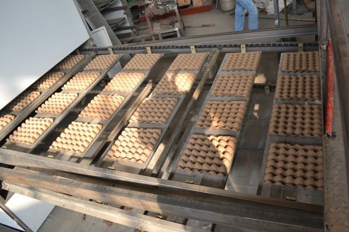 Pulp Molding 6*8 molds 5000-6000pcs / Hour Automatic Egg Tray Making Machine Pulp Molding Production Line