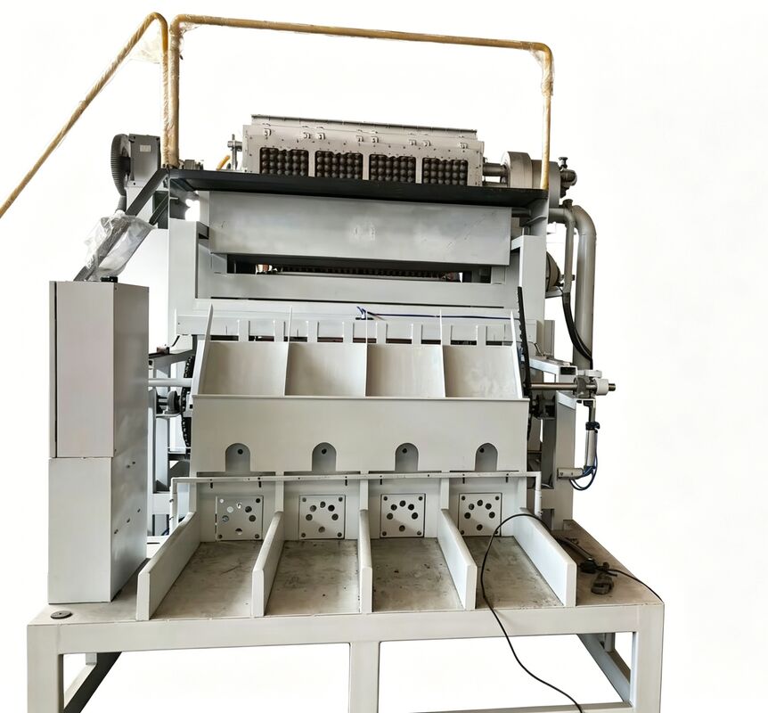WANYOU WY-P3 Rotary Egg Tray Production Line Egg Tray Machine 2500-3000 pcs/h Recycled Paper Pulp Molding for Venezuelan Poultry Farm