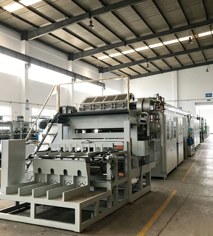 WANYOU 4*4 Molds Rotary Egg Tray Production Line Egg Tray/Carton Machine 2500-3000 pcs/h Recycled Paper Pulp Molding for Serbian Poultry Farm