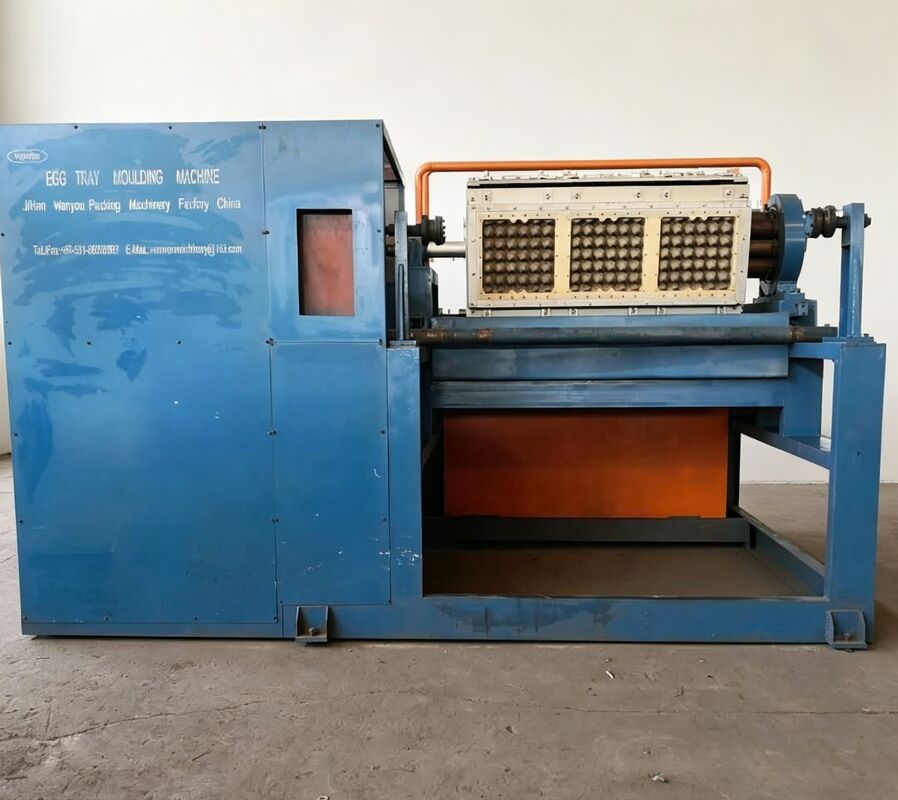 2000-3000PCS/H Rotary Egg Tray Machine | Medium-Scale Commercial Production Solution Egg Tray Production Line