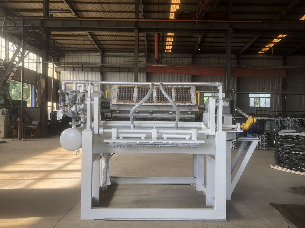  Rotary Paper Egg Tray Machine Egg Carton Production Line 2500-3000 Pcs/h Recycled Paper Pulp Molding Machine