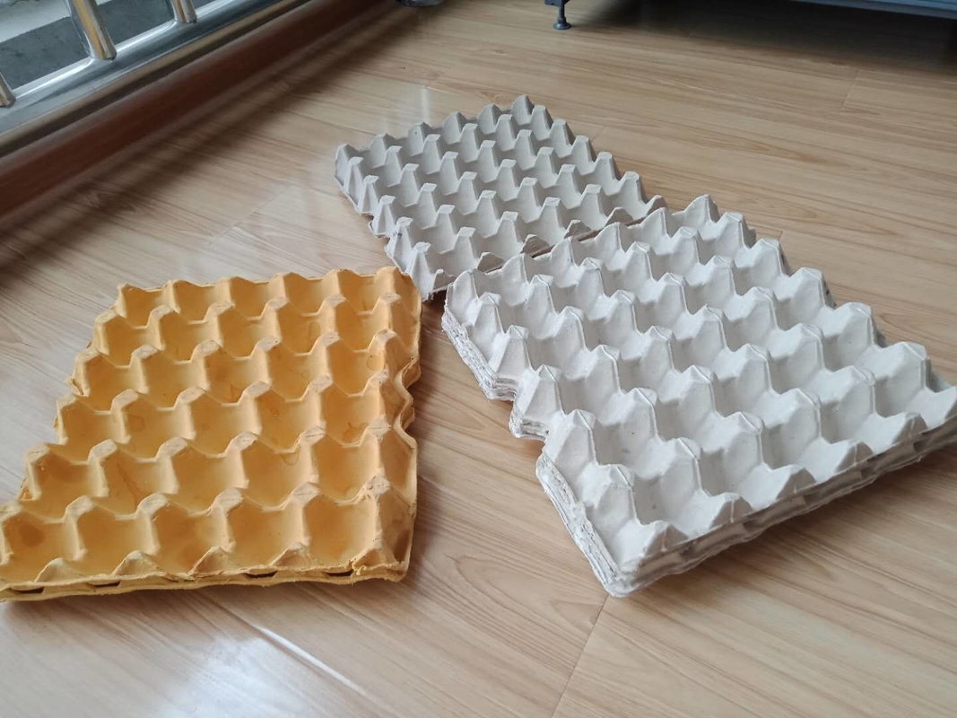 Hot Pressing Pulp Molding Machine Egg Tray Production Line With Germany Valves