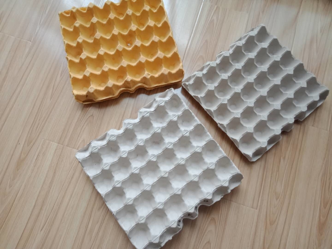Waste Paper Egg Tray / Carton Machine With Germany Valve For Small Medium Company