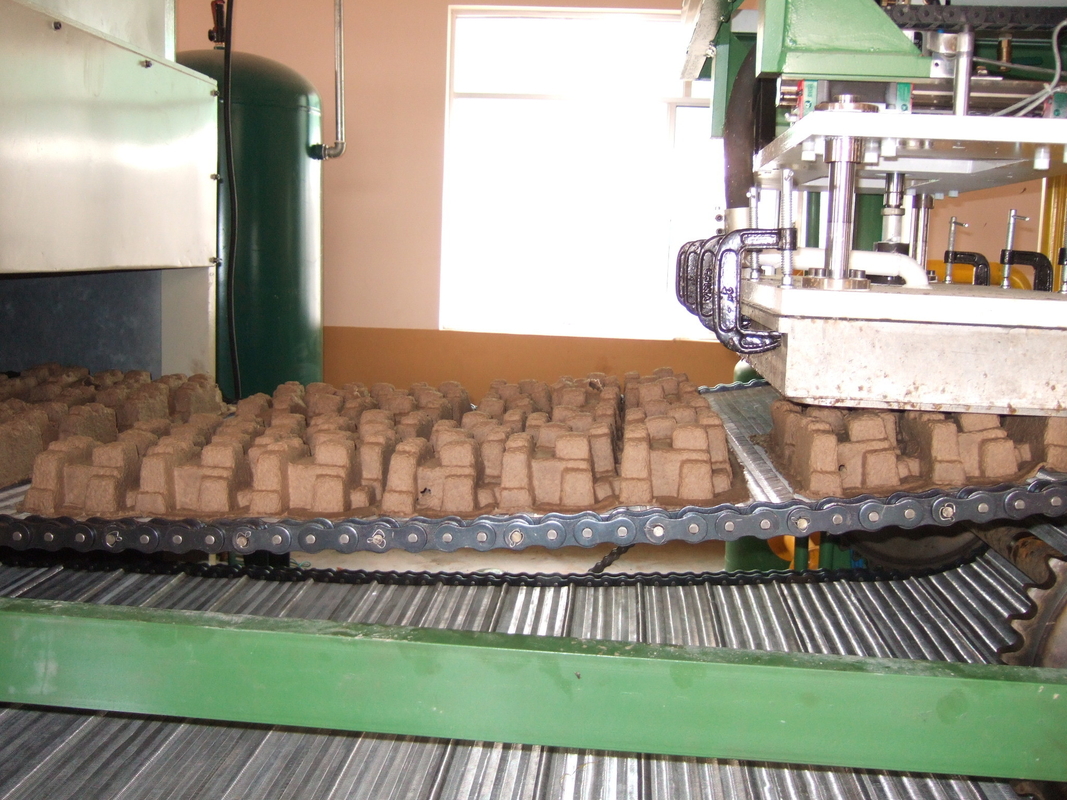 2 Molds Paper Pulp Egg Tray Making Machine Reciprocating Type Easy Operate