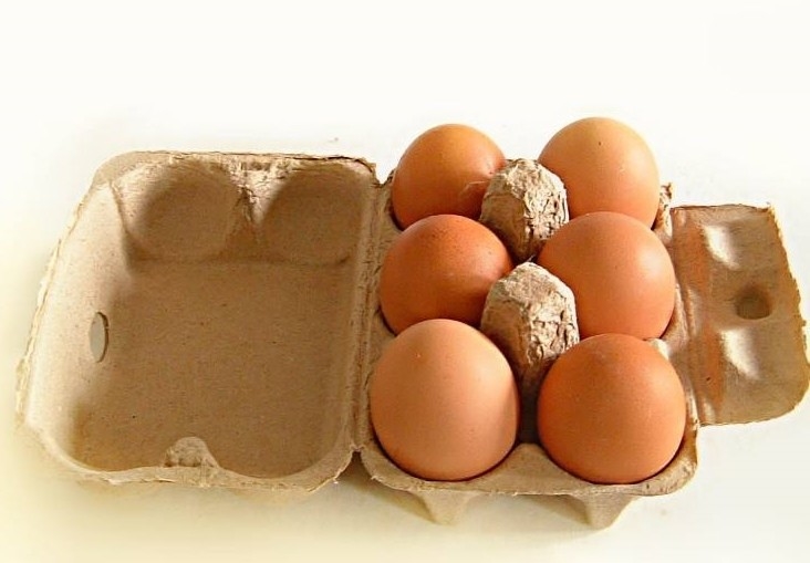 Waste Paper Egg Carton Making Machine Rotary Forming Type 2000pcs/h