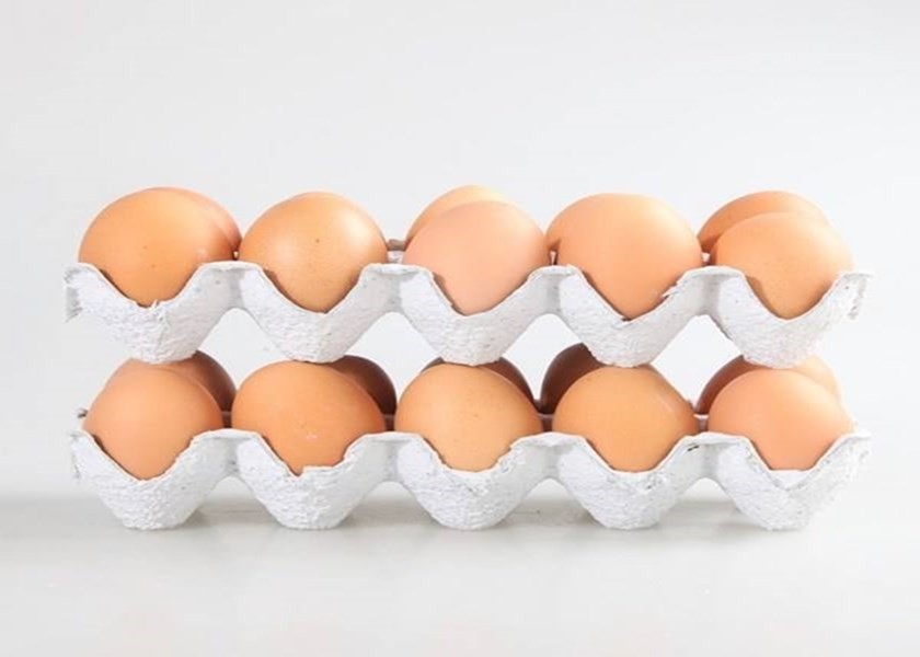 Waste Pulp Egg Tray carton Making Machine  For Egg Packaging 350pcs/h-2500pcs/h