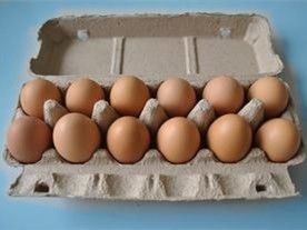 Waste Paper Pulp Egg Tray Machine Egg Carton Production Line Making Machine  For Egg Packaging 350pcs/h-3000pcs/h