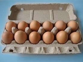 Waste Pulp Egg Tray carton Making Machine  For Egg Packaging 350pcs/h-2500pcs/h