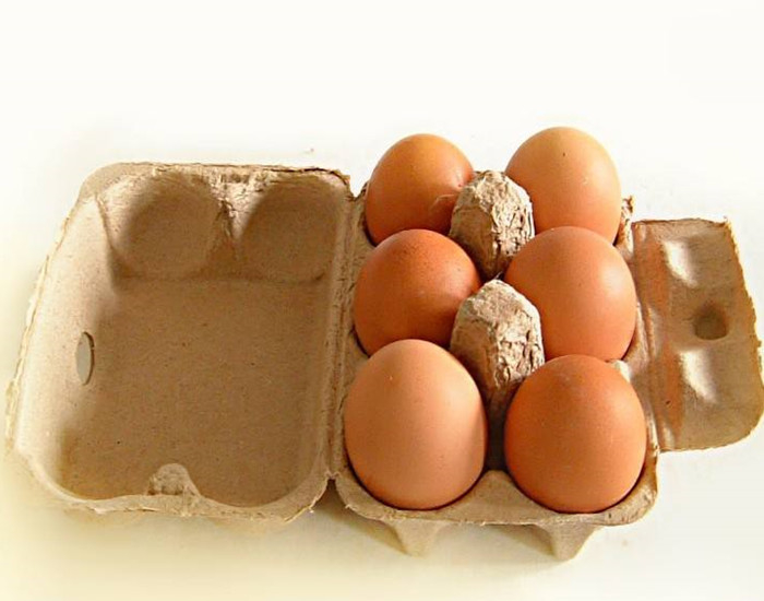 Colored Paper Egg Tray Machine , Egg Tray Manufacturing Machine 20KW-150KW