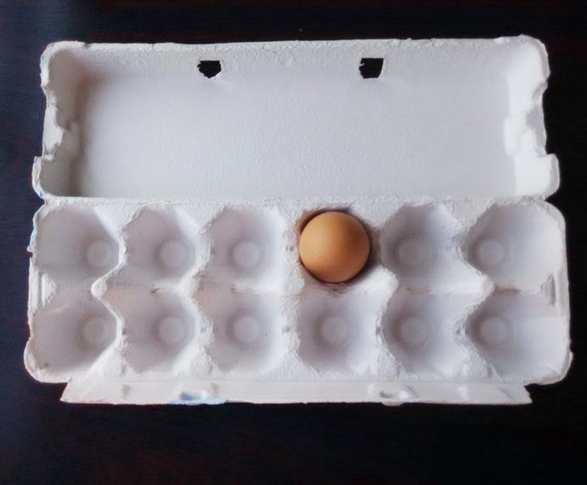 Customized Color Waste Paper Egg Tray Machine 350 Pcs/h Stainless Steel Material