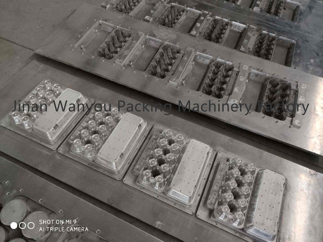 Popular customized 6 holes egg carton egg tray production line egg box machine